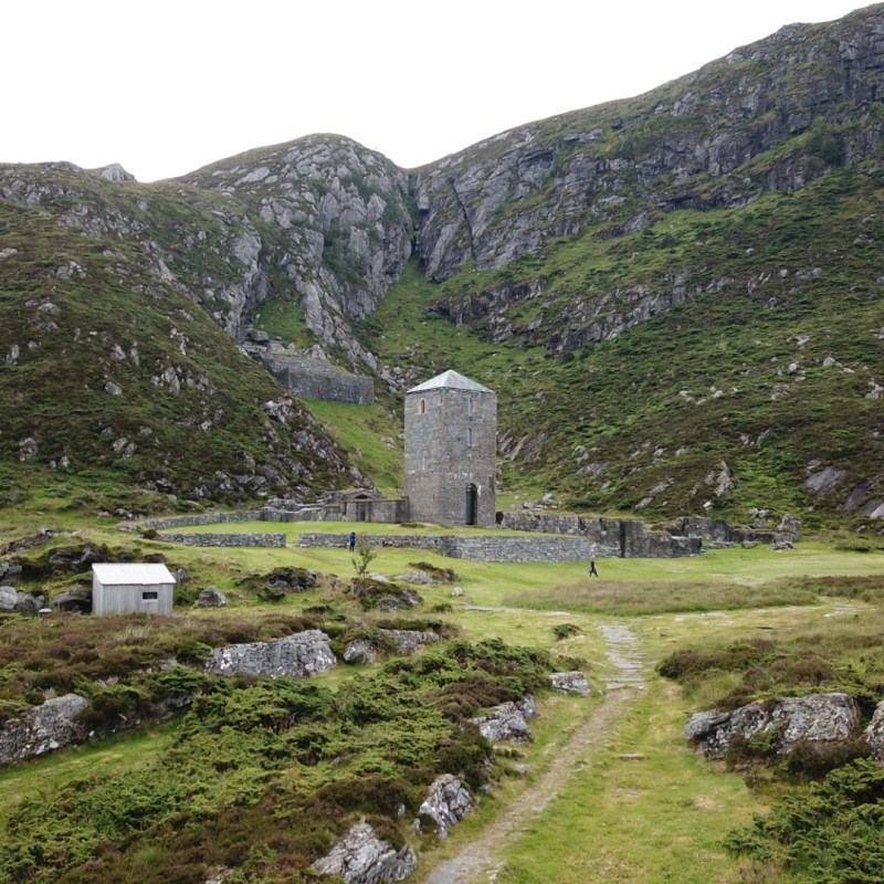 a group of sheep graze on a rocky hill