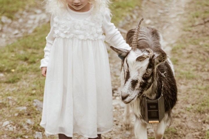 a little girl that is standing in the grass